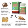 Plantain Combo Extract 前列通 Maintain Men's Healthy Urinary System Made In USA
