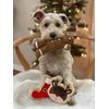 Midlee Reindeer Sugar Cookie Dog Toy (Small)