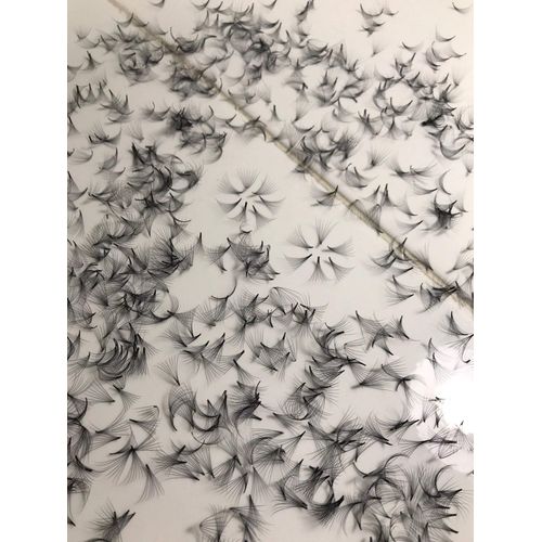 LASH BY HOLLY 14D PREMADE (HAND MADE) FAN LASHES (500 FANS/TRAY) FOR EYELASH EXTENSION, C CURL, D CURL AND M CURL, 0.05 THICKNESS, LUNGHEZZA 10MM-17MM (D16mm14D)