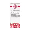 Ferrum phosphoricum LM VI DHU Dilution, 10 ml Lösung