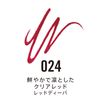 Lasting Finish Exaggerate Lip Liner 024