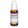 DHU Hepar sulfuris D8 Dilution, 20 ml Lösung