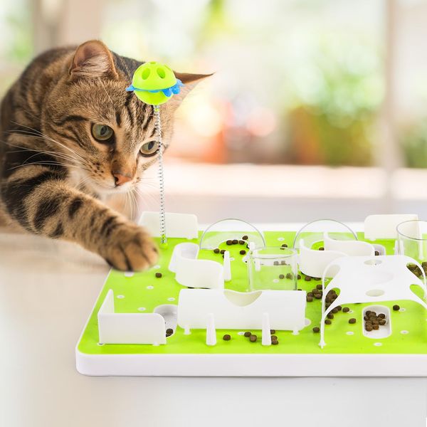 ALL FOR PAWS cat Treat Puzzle cat Puzzle Toys cat Puzzle Toys Interactives Cat Treat Maze Toy Cat Food Dispenser Kitty Puzzle Feeder Catnip Toy Cat Wand Toy Cat Fun Playing Toys Kitten Toys