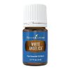 White Angelica 5ml Essential Oil by Young Living Essential Oils
