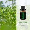 GREENSLEEVES Essential Oil - 10ml (Tea Tree)