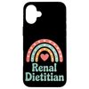 Rainbow Appreciation Nutritionist Renal Dietitian Case for iPhone 16 Plus