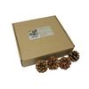 Bright Ideas Natural Pine Cones, Wood, 4-6cm