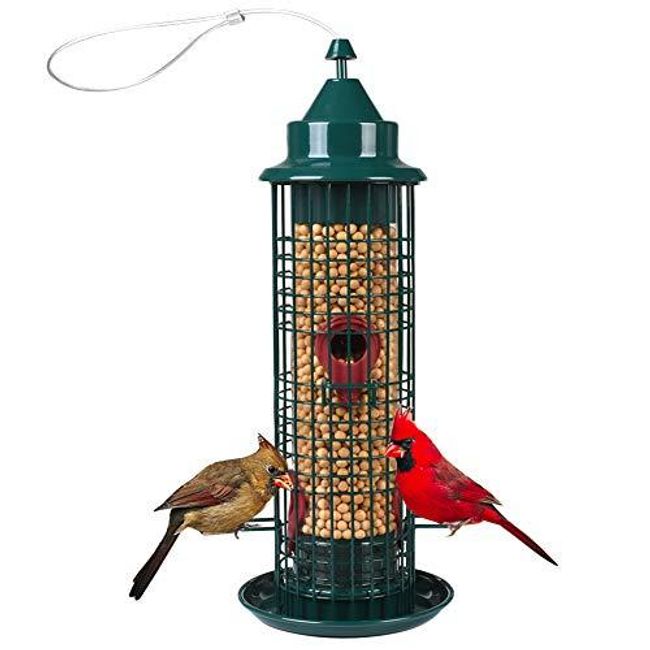 DINOKA Metal Bird Feeder, Outdoor Squirrel Proof Bird Feeder Hanging ...