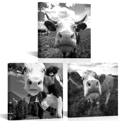 Apicoture Cow Pictures Wall Decor Black and White Animal Canvas Framed Wall Art for Farmhouse Livingroom Bedroom Wall Decorations12 x12 x3 Panels