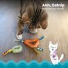 Petstages Catnip Dental Health Chews - Dental Care Chew Toy for Cats - Catnip - Multicoloured - Pack of 2