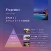 Fadric Hotel Softener Healing Night Scent (Single Item))