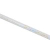 COLOR DAYS Pair Charm Pencil, 2B, Round Shank/AHIRU DAYS