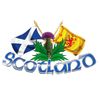 Large Size Scotland Thistle & Cross Flags