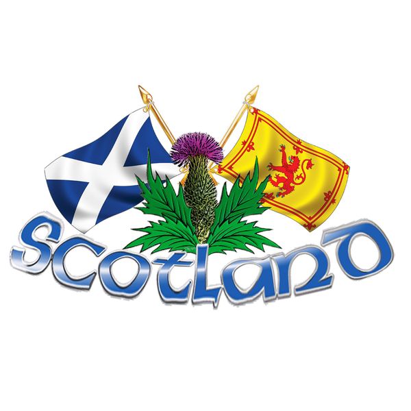 Large Size Scotland Thistle & Cross Flags