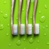 Chomp Bamboo Flossing Toothbrush (4)
