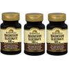 Windmill Magnesium Gluconate 500 mg Tablets 90 Counts X 3 Packs