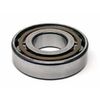 Pinion Shaft Bearing