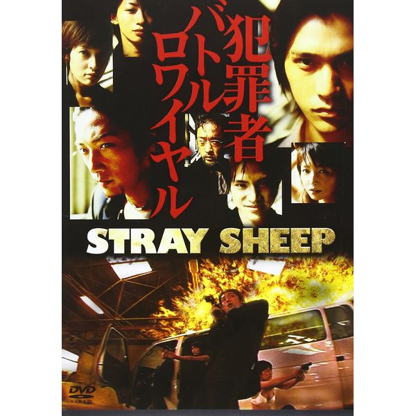STRAY SHEEP [DVD]