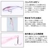 DAIWA Bus Steese Pencil, Black, 60F Lure
