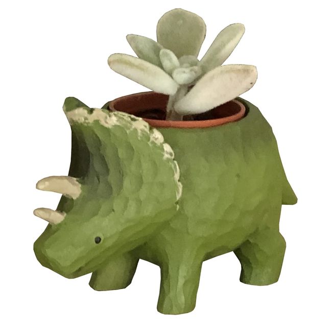 Flower Gift Corporation Succulent Plants Home Decor Houseplant Gift Dinosaur Mini Pot Mini Size Petite Gift