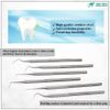 15 Pcs Oral Hygiene Kit Plaque Remover Professional Dental Picks Set Double & Single Ended Picks + Scraper, Mouth Mirror & Tweezers for Gum Care Cleaning Set Stainless Steel with Carrying Case