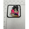 Dragonball Z anime Embroidered Patch #17