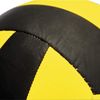 Borussia Dortmund BVB Volleyball, Size 5, Pack of 1