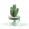 Pretty Valley Home Cactus Ceramic Diffuser Combo (White Orchid) Scent 200ml