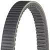 Dayco HPX5031 Drive Belt, black