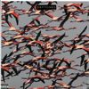 VINYL Deftones - Gore
