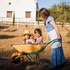 Standard inner tube for wheelbarrow size 3.50-8