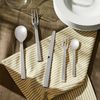 Alessi DC05S5 SANTIAGO 5 PIECE SET, Silver