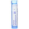 Boiron Ferrum Phosphoricum 30C, 80 Pellets, Homeopathic Medicine for Fever