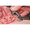 Preston Innovations ICS ln-Line Maggot Feeder Small 30g x 3
