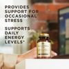 Solgar B-Complex "100" 100 Vegetable Capsules