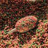 Fjuka Red Squeez-Ready Method Pellet 500g | Ready-prepped 2mms | Carp, F1s, tench, bream