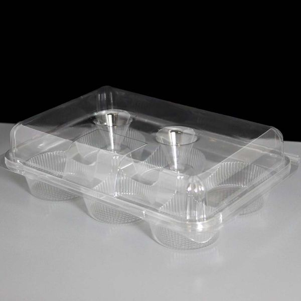 6 Cavity Plastic Hinged Cupcake Box or Pod, Pack of 25