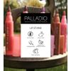 Palladio Lip Stain, Hydrating and Waterproof Formula, Matte Color Look, Longlasting All Day Wear Lip Color, Smudge Proof Natural Finish, Precise Chisel Tip Marker, Rose