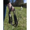 Maximum Pet Products Black Dog Training Lead 15ft/4.5m