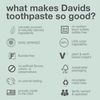 DAVIDS American Made Natural Toothpaste Spearmint (Parallel Import)
