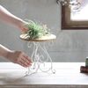 SOW Decor Iron Mini Display Table Ivory DTDT2363IVSW (Table, Ivory (01))