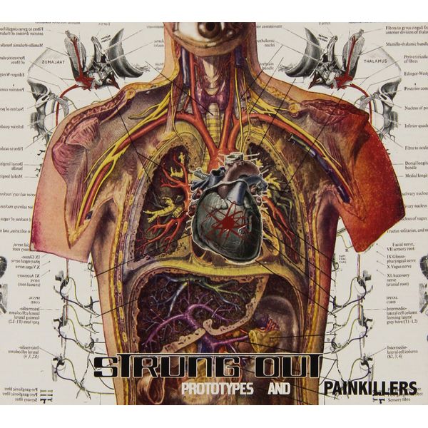 Prototypes and Painkillers