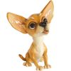Little Paws - Pixie - Chihuahua