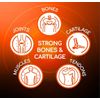X Ray Dol Triple Action Glucosamine Chondroitin Joint Support Supplement, wit...