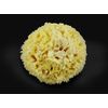 Premium Natural Sea Wool Sponges - 2 Soft Real Sponges 6"-7" (Large) & 3"- 4" (Medium); Perfect Luxury Gift for Bath, Shower and Cosmetic Facial Cleansing by Constantia Beauty®