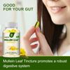 3Pack Mullein Leaf Capsules For Lung Cleansing & Detox Herbal Dietary Supplement