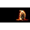 Personalized License Plate - Offset Flaming Skull Couple or Single Name Design