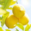 Weleda Citrus Deodorant Refill Pack 200 ml