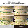 LAGOM Collagen Lifting Neck Cream 1.7 fl oz (50 ml)