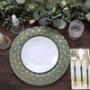 Tableclothsfactory 6 Pack | 13" Teal/Gold Embossed Peacock Design Plastic Serving Plates, Round Disposable Charger Plates